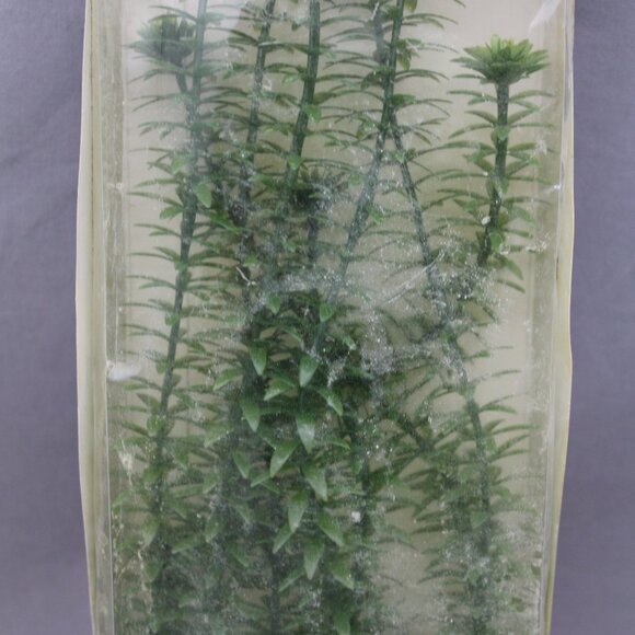 Vintage Aquarium Plant - Anacharis by Aquascapers - New In Package - Picture 4 of 8